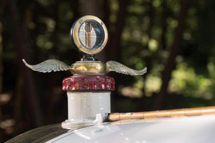 Логотип American LaFrance Speedster 1923 года  (фото 8 из 34)